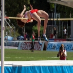 High Jump Surfacing in Broad Oak 4